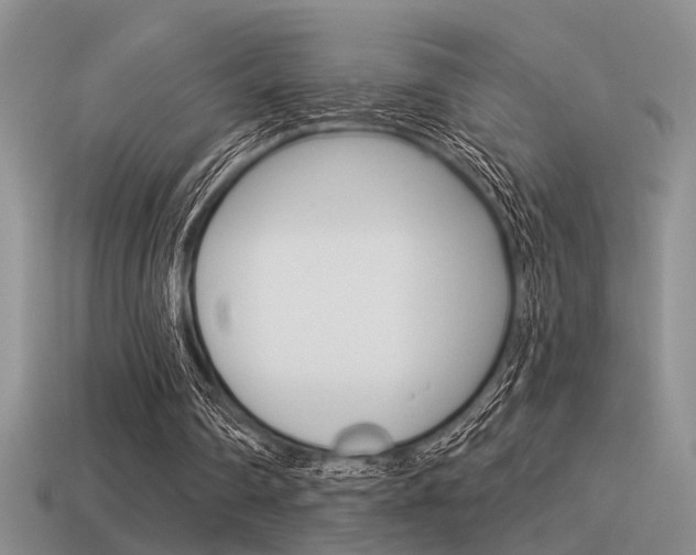 X0000115550290200911061132