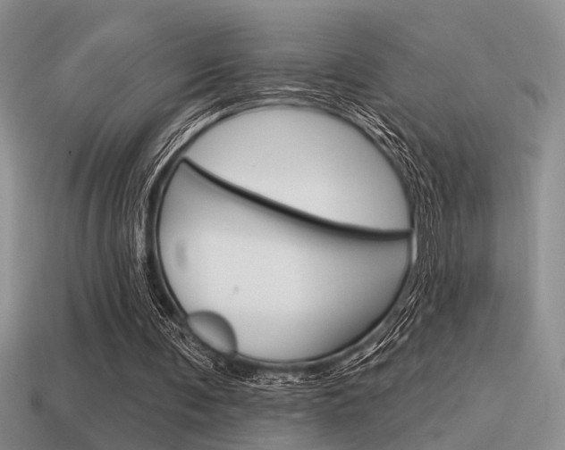 X0000115550291200911061132