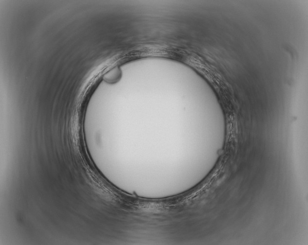 X0000115550293200911061132