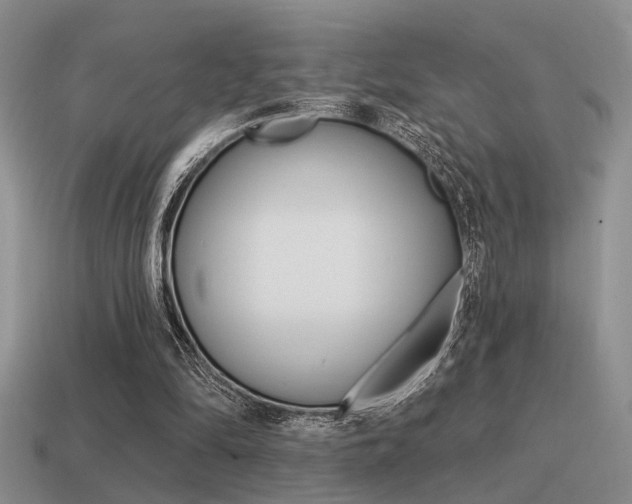 X0000115550294200911061132
