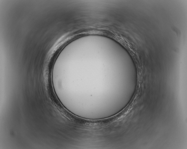 X0000115550295200911061132