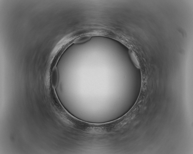 X0000115550296200911061132