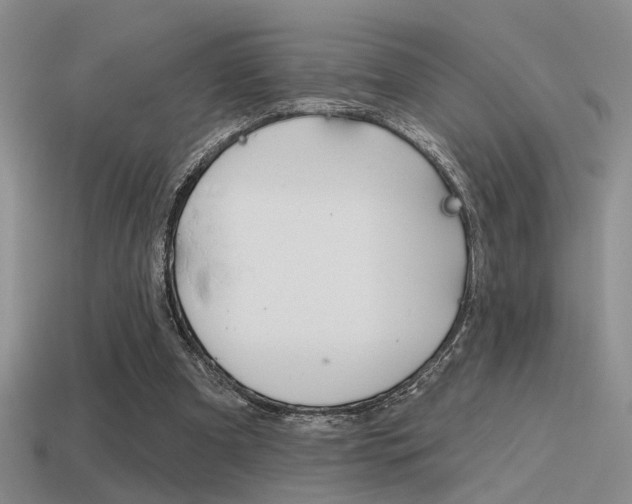 X0000115550297200911061132
