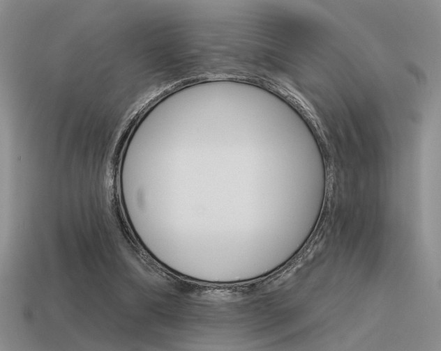 X0000115550298200911061132