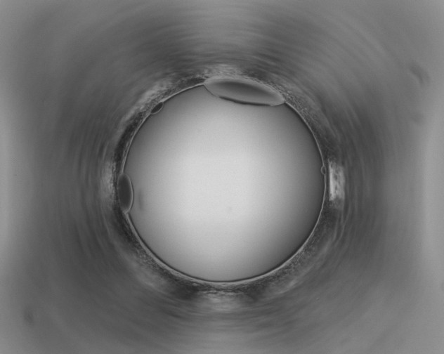 X0000115550300200911061132