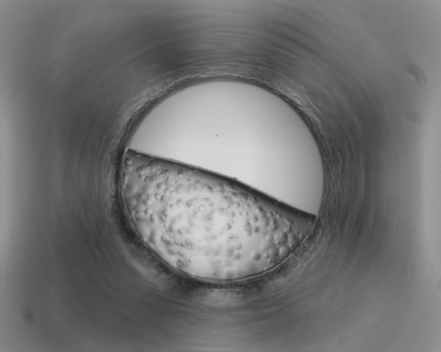 X0000115550303200911061132