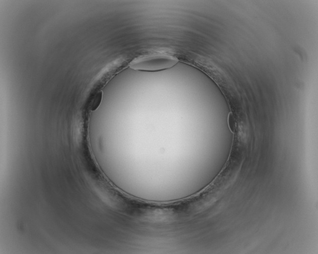 X0000115550304200911061132