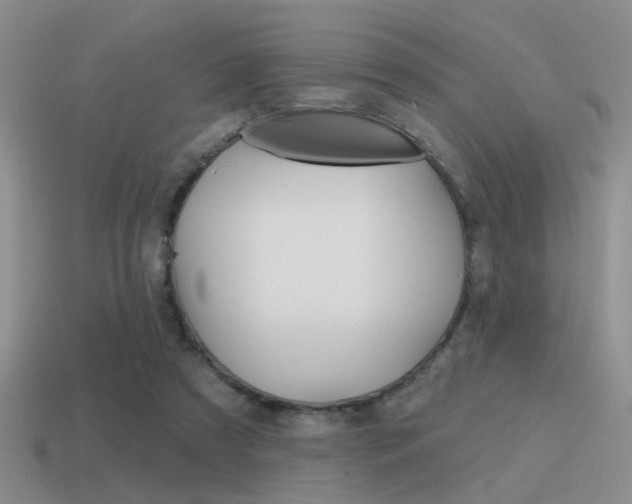 X0000115550305200911061132