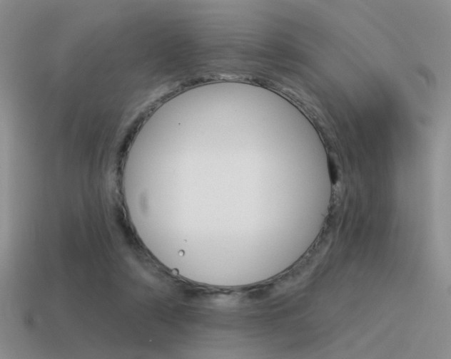 X0000115550306200911061132