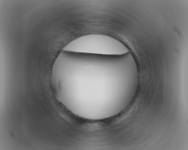 X0000115550307200911061132