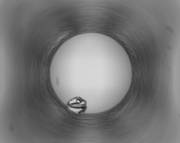 X0000115550308200911061132