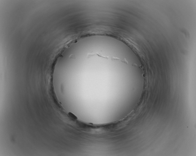 X0000115550309200911061132