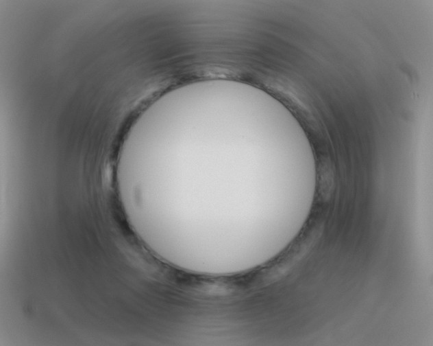 X0000115550310200911061132