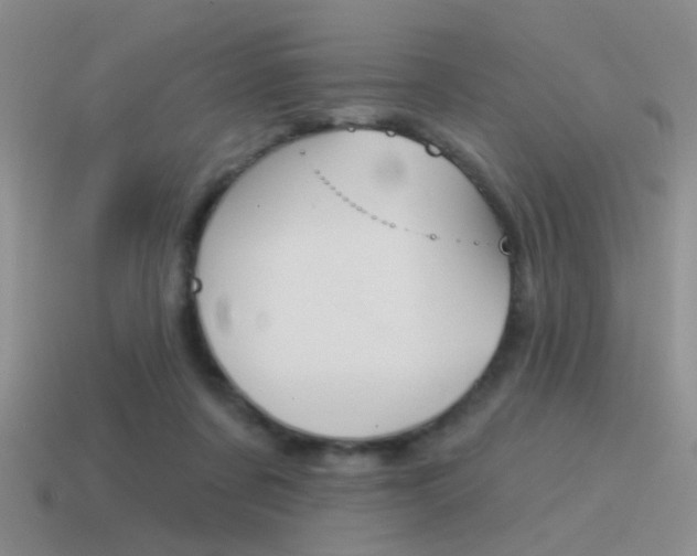 X0000115550311200911061132