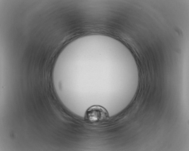 X0000115550312200911061132