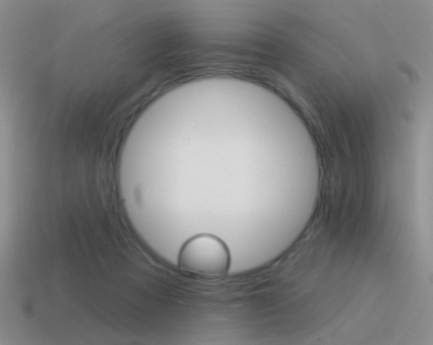 X0000115550313200911061132