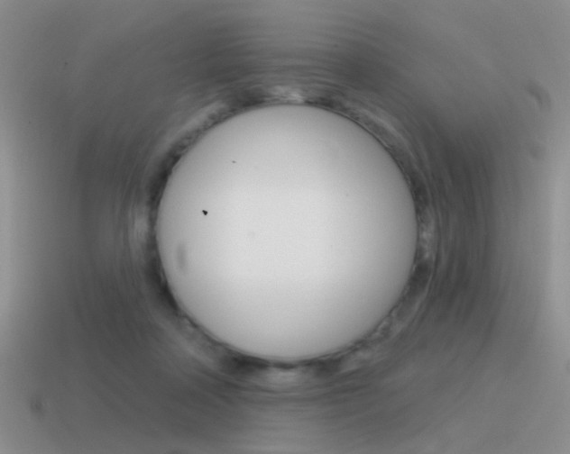 X0000115550314200911061132