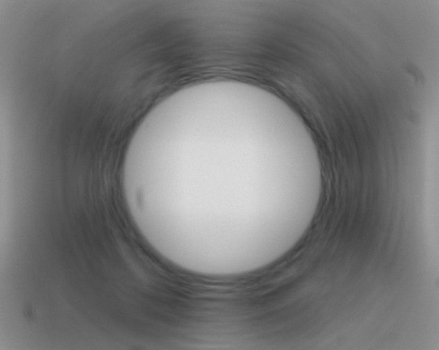 X0000115550316200911061132
