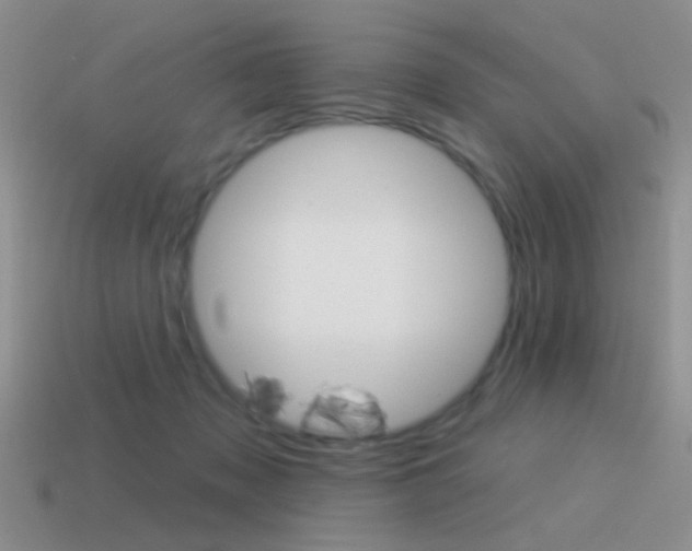 X0000115550317200911061132