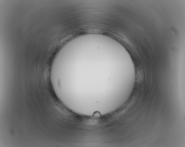 X0000115550318200911061132