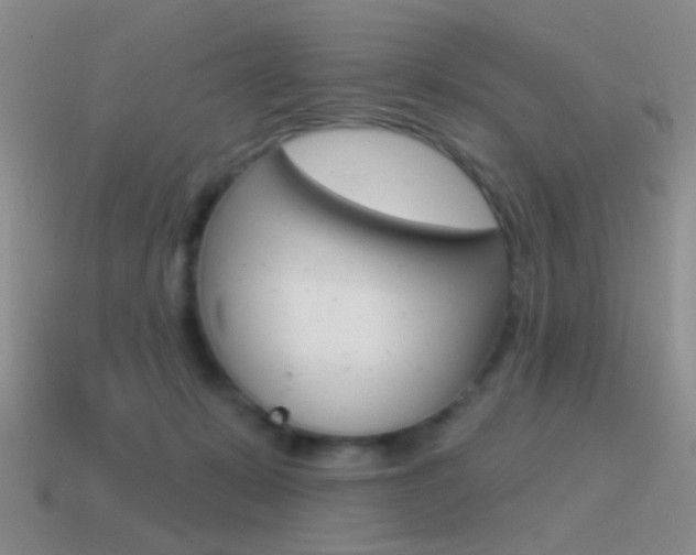 X0000115550319200911061132