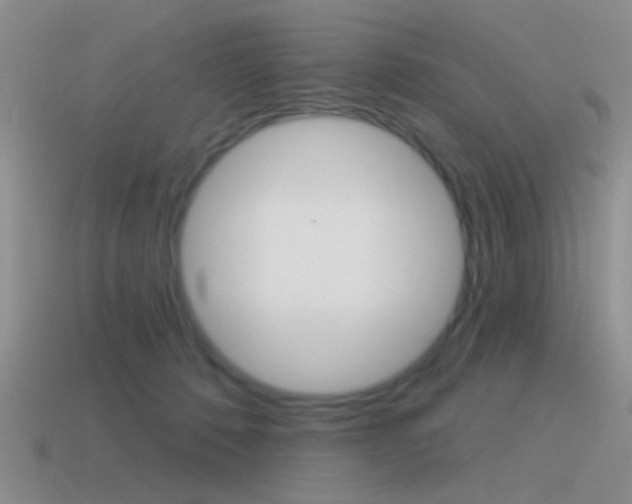 X0000115550320200911061132