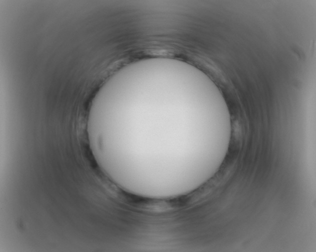 X0000115550322200911061132