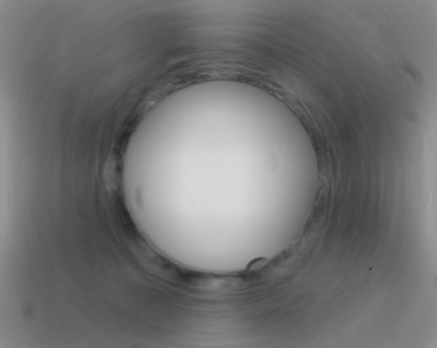 X0000115550323200911061132