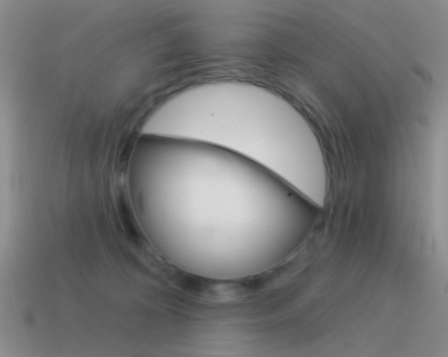 X0000115550324200911061132