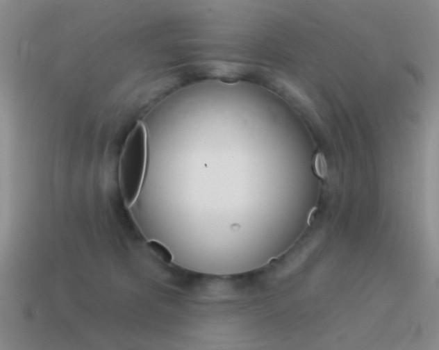 X0000115550325200911061132