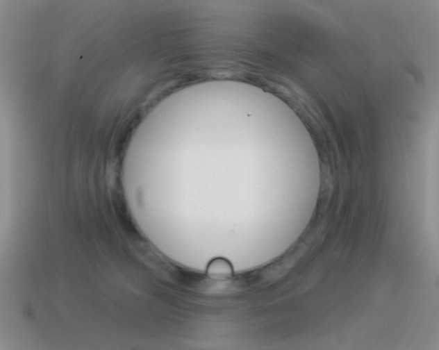 X0000115550326200911061132