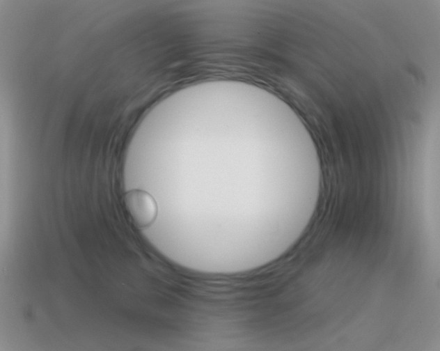 X0000115550327200911061132