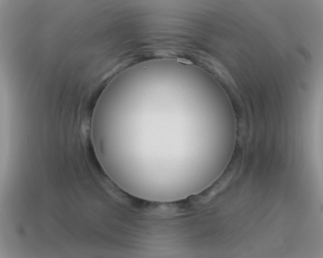 X0000115550329200911061132