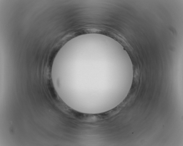 X0000115550330200911061132