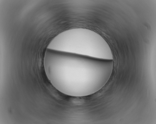 X0000115550331200911061132
