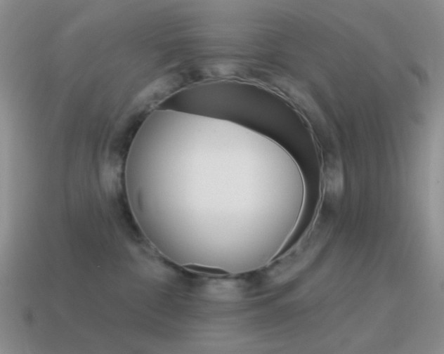 X0000115550332200911061132