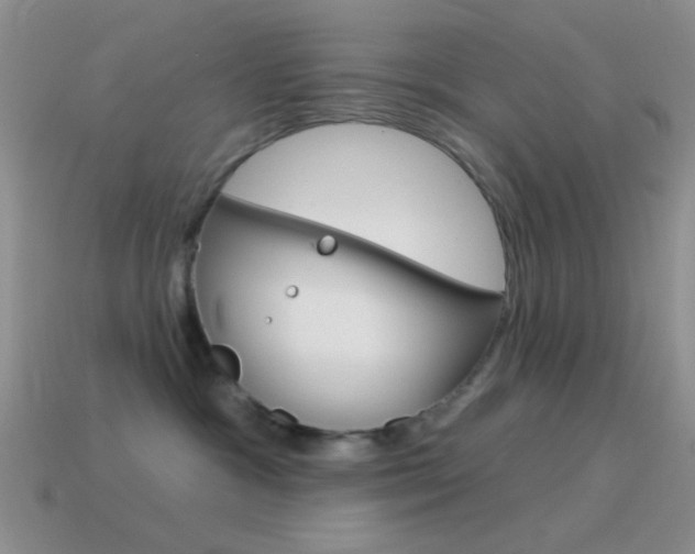 X0000115550333200911061132