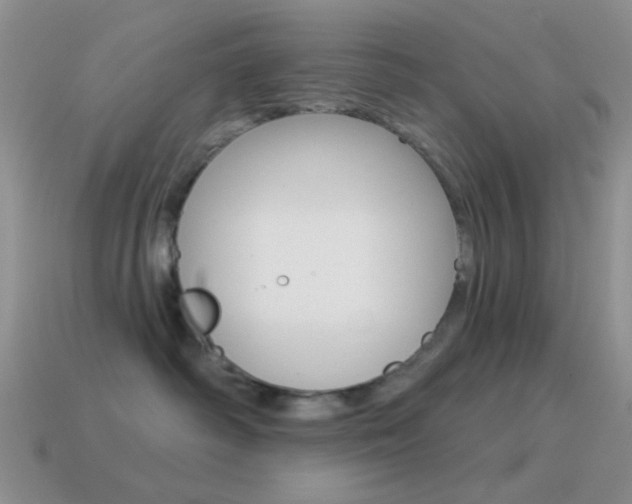 X0000115550334200911061132