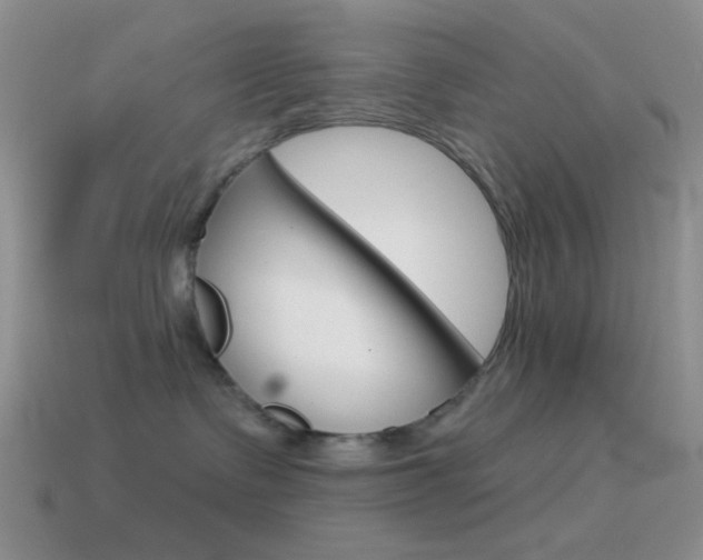 X0000115550335200911061132