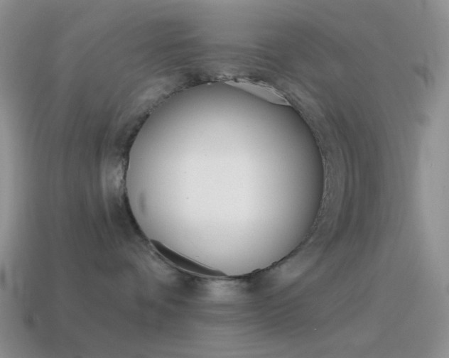 X0000115550336200911061132