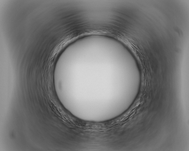 X0000115550337200911061131