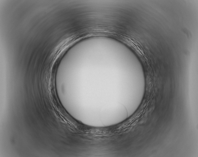 X0000115550338200911061131