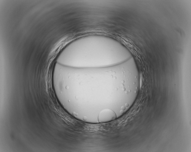 X0000115550339200911061131