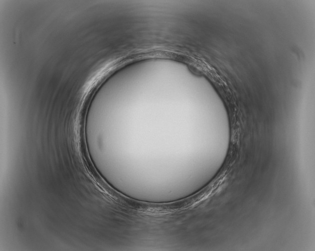 X0000115550341200911061131