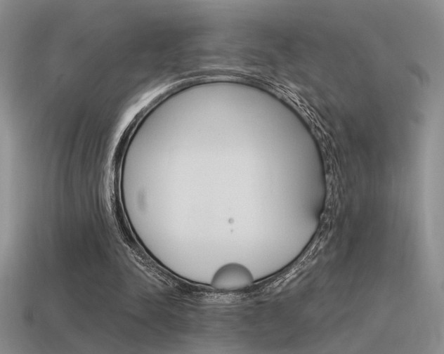 X0000115550342200911061131