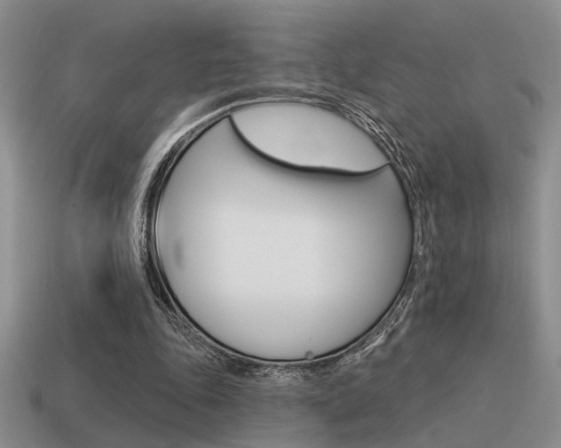 X0000115550343200911061131