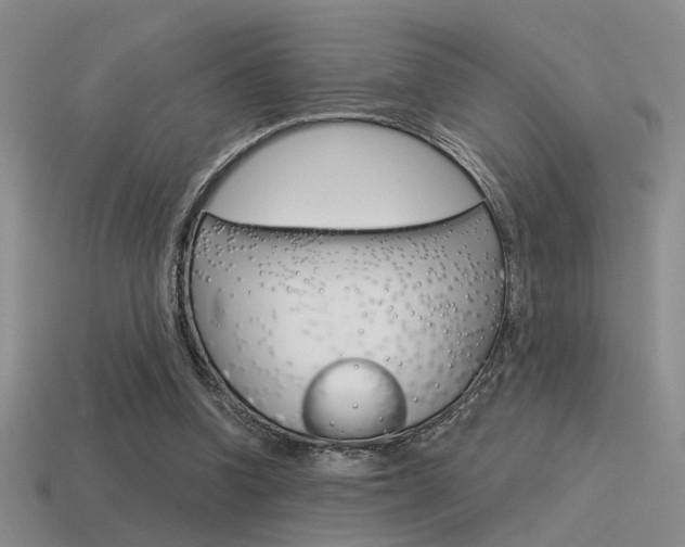 X0000115550346200911061131