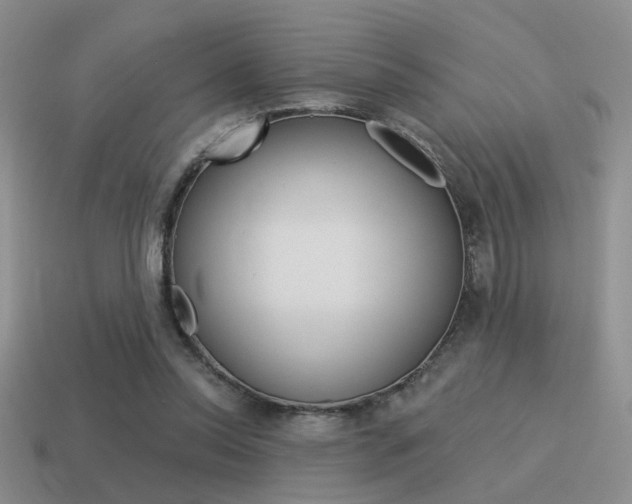X0000115550350200911061131