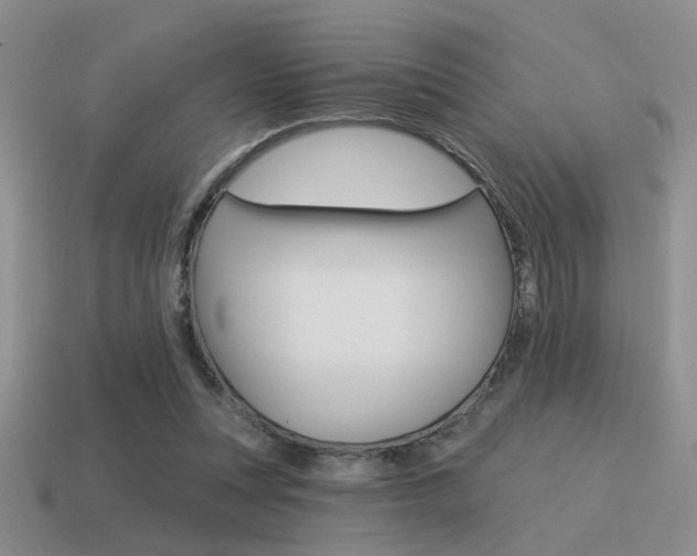 X0000115550351200911061131