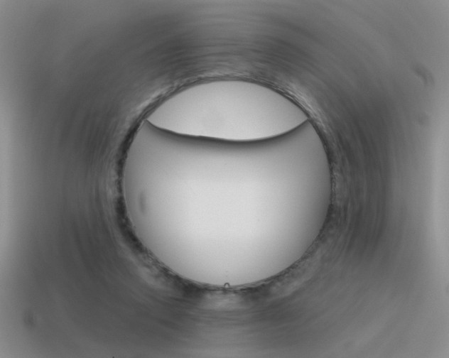 X0000115550354200911061131